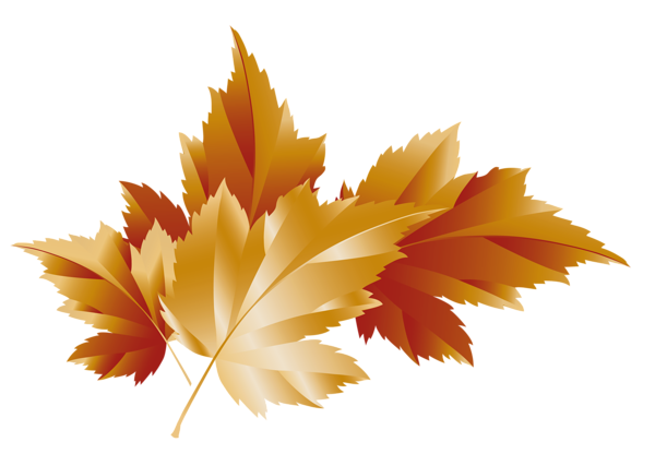Fall_Transparent_Leaves_Decor_Picture