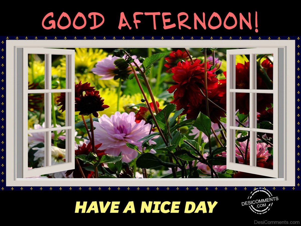 Good afternoon can i help you. Good afternoon. Good afternoon have a nice Day. Good afternoon nice Day. Good afternoon have a nice Day открытки.